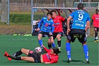 IMG_6517