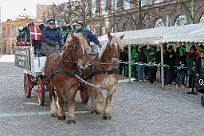 2019-03 St Patricks day-107