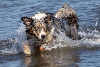 2018-07-14 Beddingestrand-120