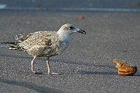 IMG_2383